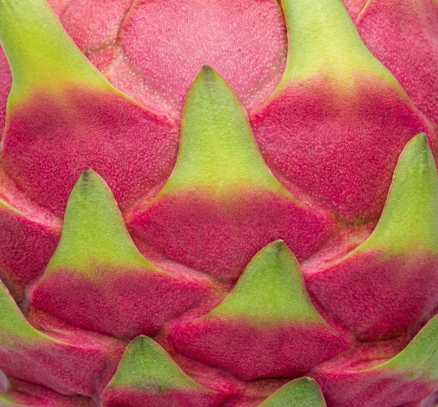 Close-up of pink dragon fruit skin with green-tipped scales