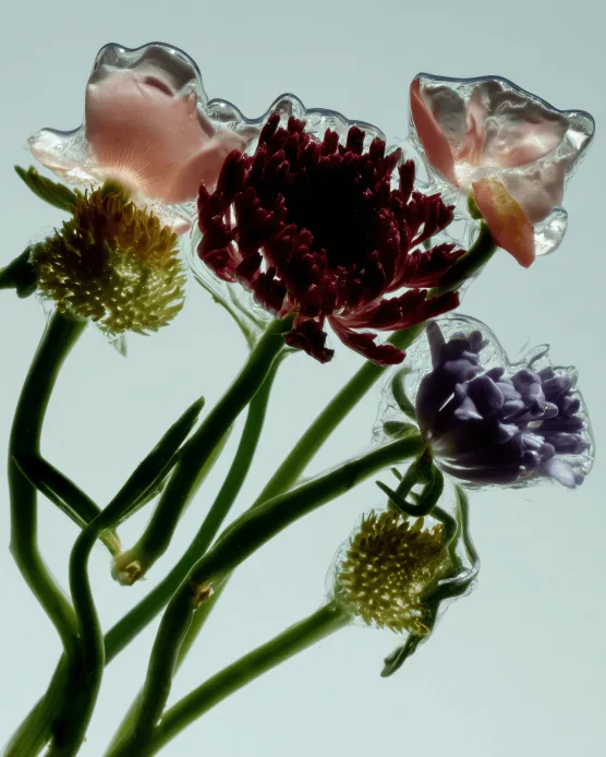 Dark wildflowers arranged in soft light